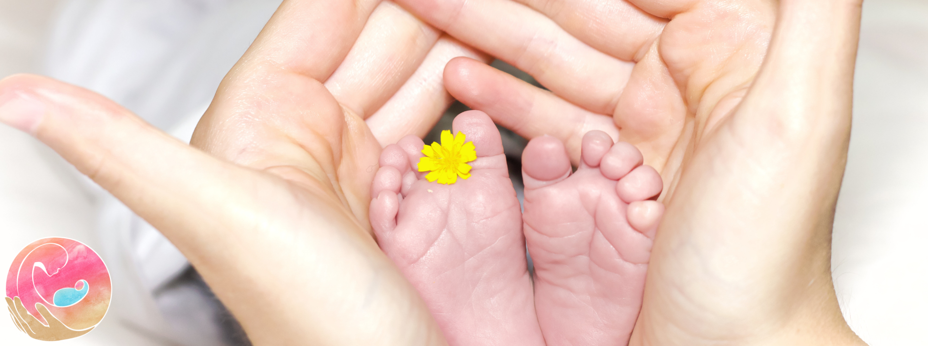 Woman's hands holding babies feet with flower in between the toes. We Do Birth Doula Services of Wilmington North Carolina logo on the bottom left of picture.